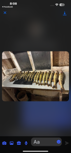 854E1DA6-F755-4EC5-9028-8AF4B2CACE1F