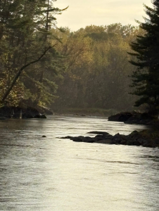 IMG 20251016 112527-10