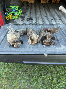 IMG 20251016 112527-4